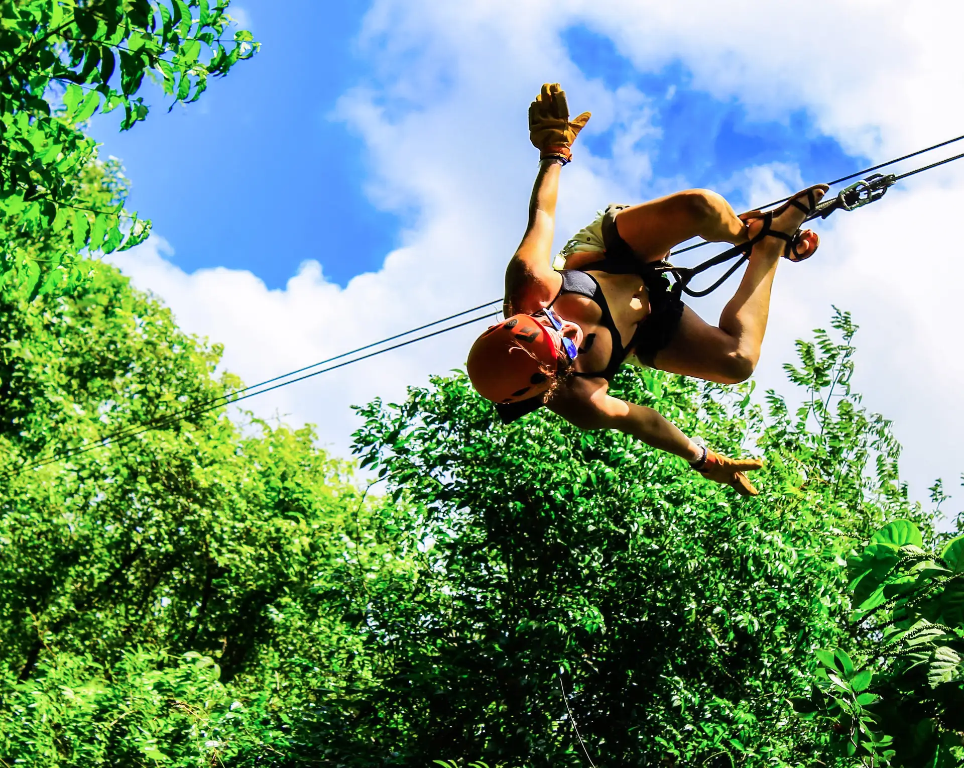 Harnessed participant on a zipline above the trees